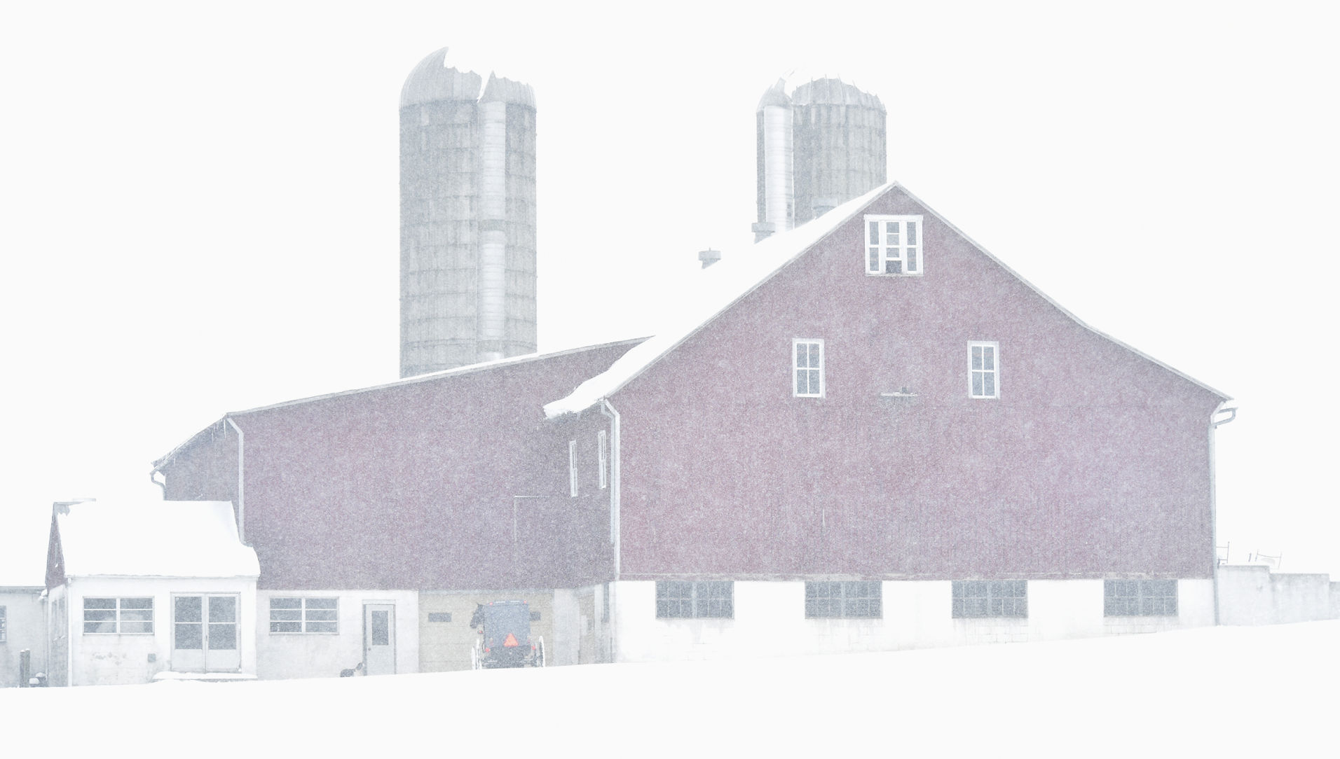 LC SNOW 2.jpg